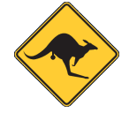 Wildflower Country Skippycoin ICG Wildflower Country Skippycoin ICG